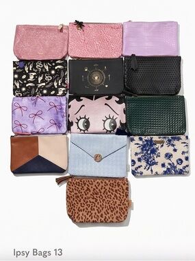 13 Ipsy Makeup Bags Bundle Collection Celestial Animal Print Floral